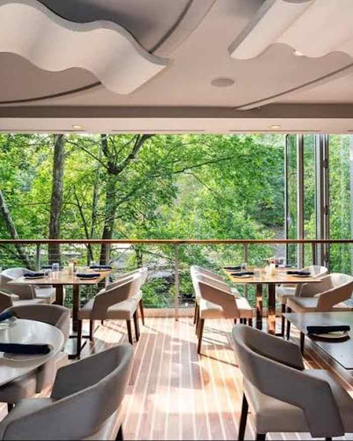 Bright restaurant dining room with greenery